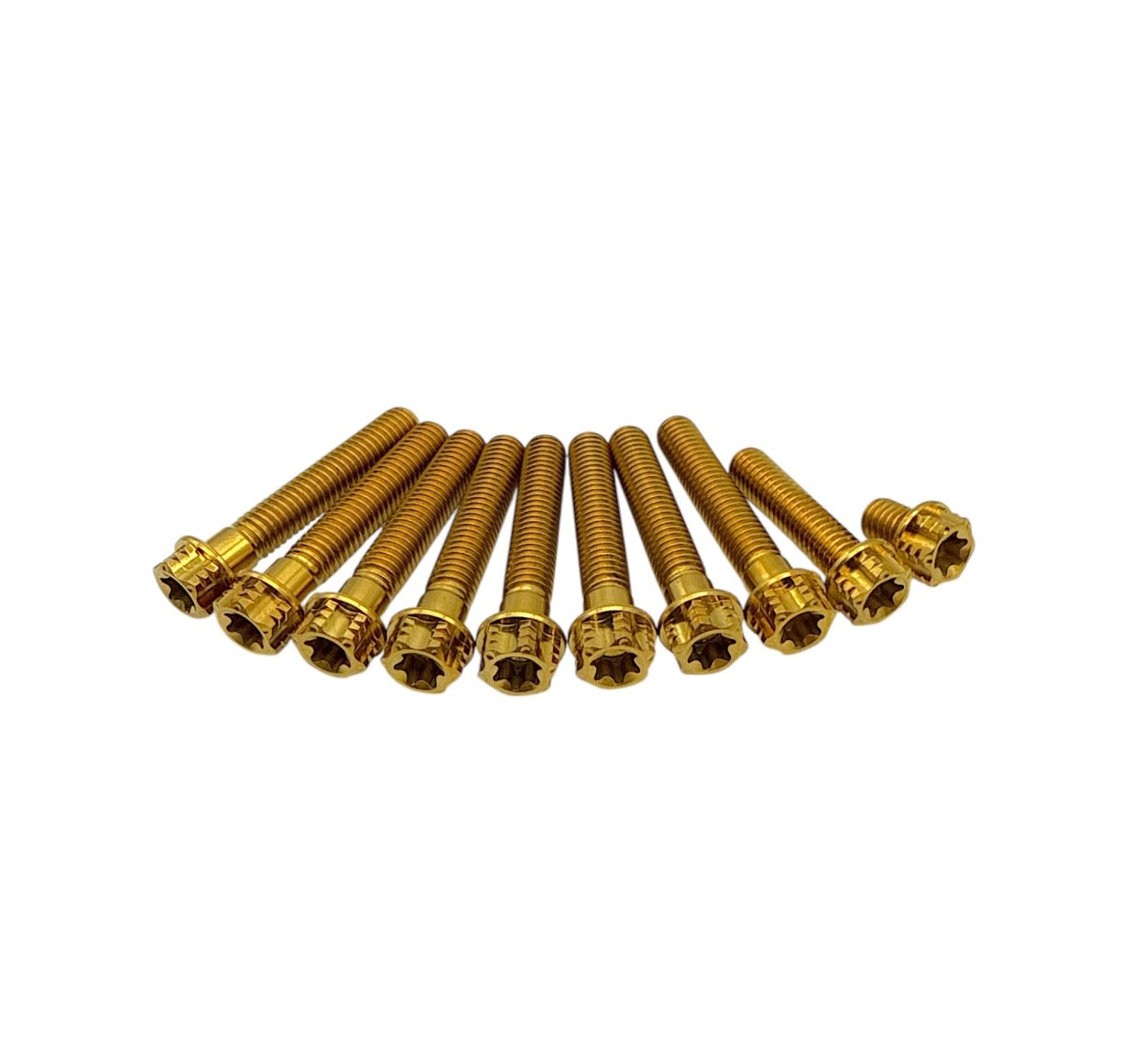 ZT Titan Schraubenset für Motor Seitendeckel M500 (10Stk.)