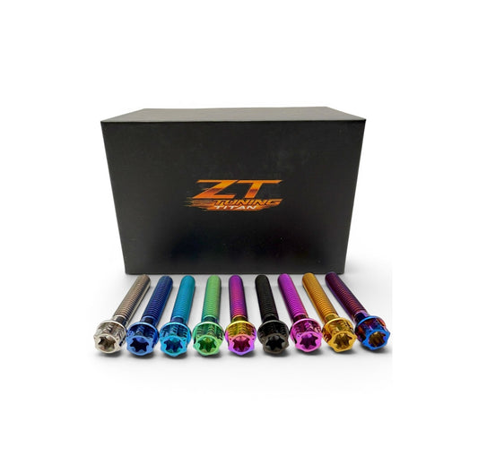 ZT Titan Schraubenset für Motor Seitendeckel M500 (10Stk.)